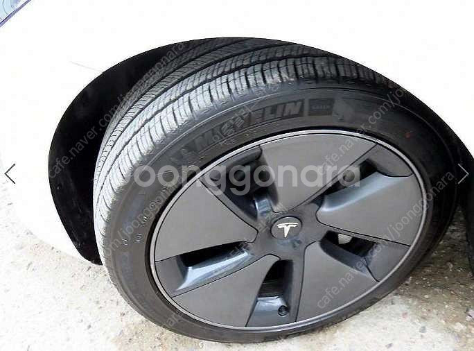 중고차 테슬라 모델 3 EV RWD 중고차전액할부 ★ ...--9