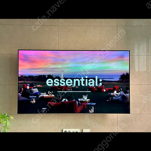 LG OLED 65인치 TV