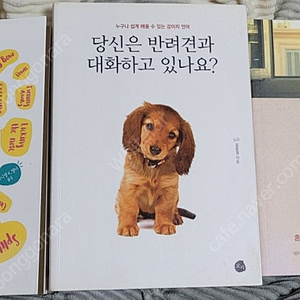 당신은 반려견과 대화하고 있나요, 카밍 시그널, 당신은 개를 키우면 안 된다, 행동 뒤에 숨은 심리학, 강아지 상식사전, 하늘로 날아간 집오리, 국내 동물원 평가 보고서