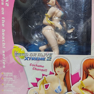 kotobukiya 카스미