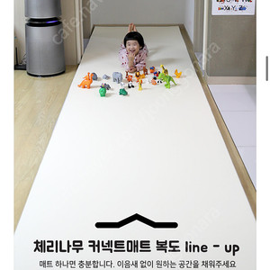 체리나무 복도매트