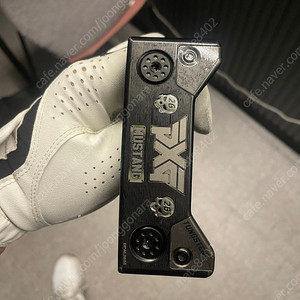 pxg 배틀래디2+ kbs gps샤프트