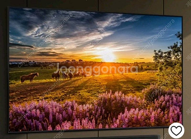 삼성 QLED TV 55인치--3