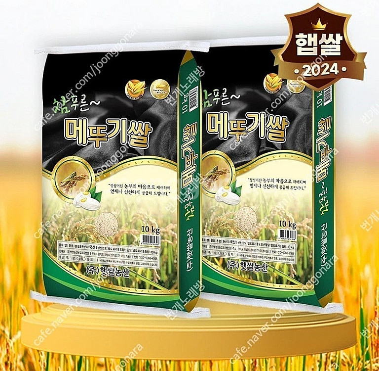 선착순)쌀20kg 36900원부터~특가상품 수향미 옥향...--1