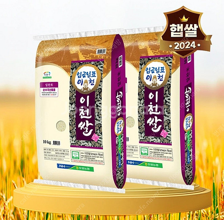 선착순)쌀20kg 36900원부터~특가상품 수향미 옥향...--7
