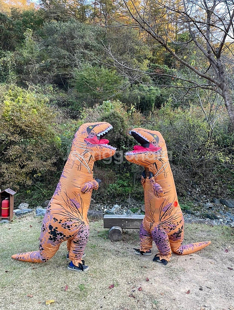 할로윈 코스튬 공룡풍선 옷(아동용)--0