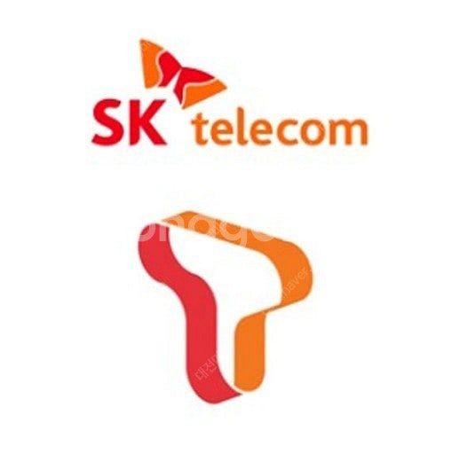 SKT 데이터 2GB 3000원--0