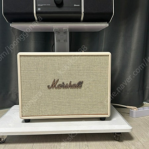 Marshall Woburn 3 (마샬 워번3) 크림 색상, 소비코 정품