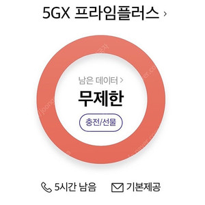 sk데이터 2기가 판매