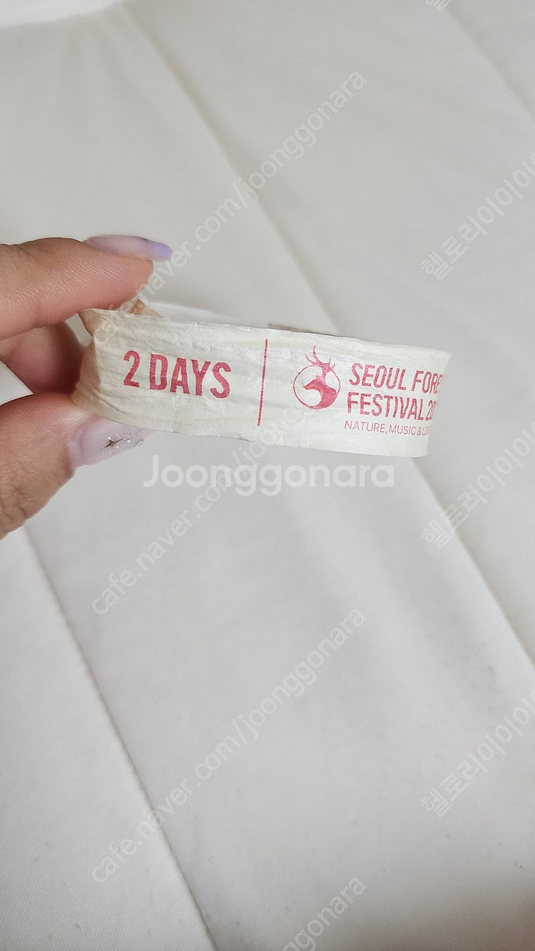 서울숲 재즈페스티벌 13일--1