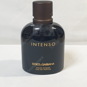 돌체앤가바나 뿌르 옴므 인텐소 Dolce & Gabbana Pour Homme Intenso