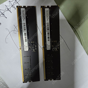 TeamGroup DDR5-6000 CL48 서린 (16GB)