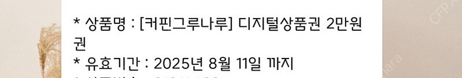 커핀그루나루 2만원권--0
