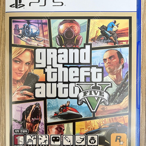 GTA5 (ps5용)