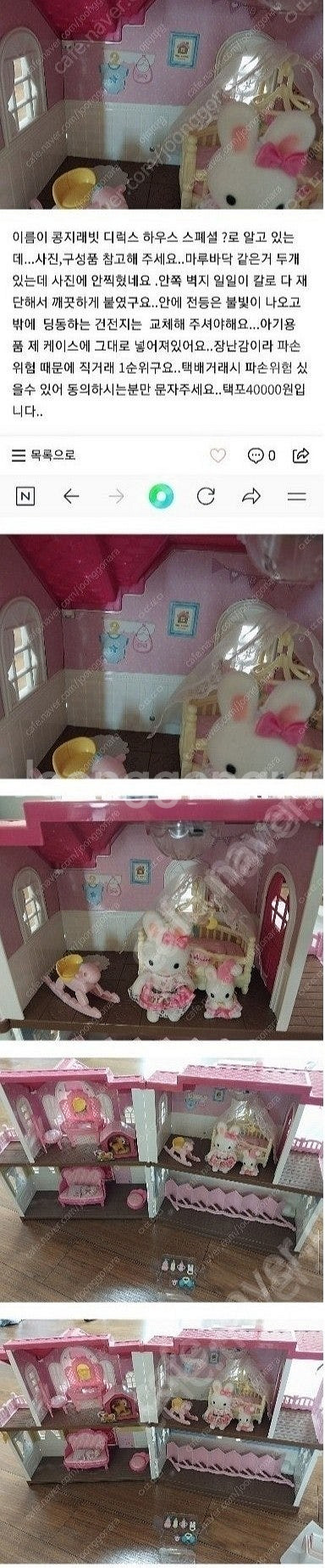 콩지래빗 디럭스 하우스 스폐셜--0