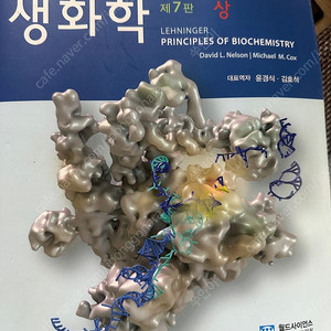 레닌저 생화학 제7판 상권