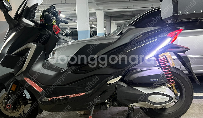 포르자350 (문자주세요 업자아님)--3