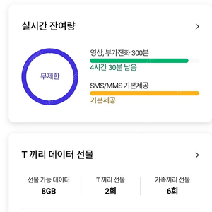 sk데이터 2기가