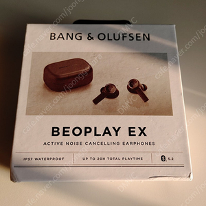 Bang & Olufsen 뱅엔올룹슨 EX 이어폰