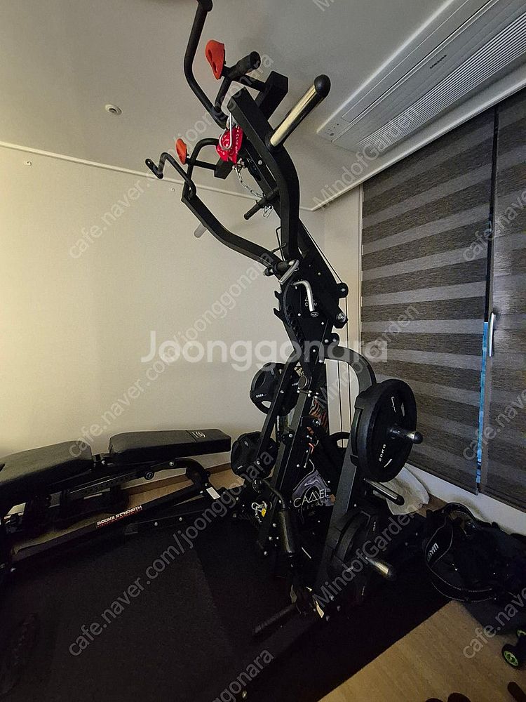 바디엑스 프리미엄 카멜 레버리지짐 G80 홈짐 멀티짐 ...--0