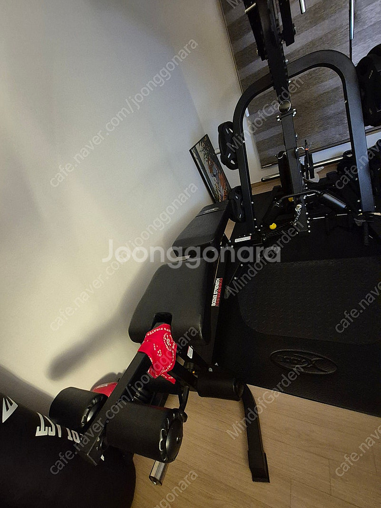 바디엑스 프리미엄 카멜 레버리지짐 G80 홈짐 멀티짐 ...--1
