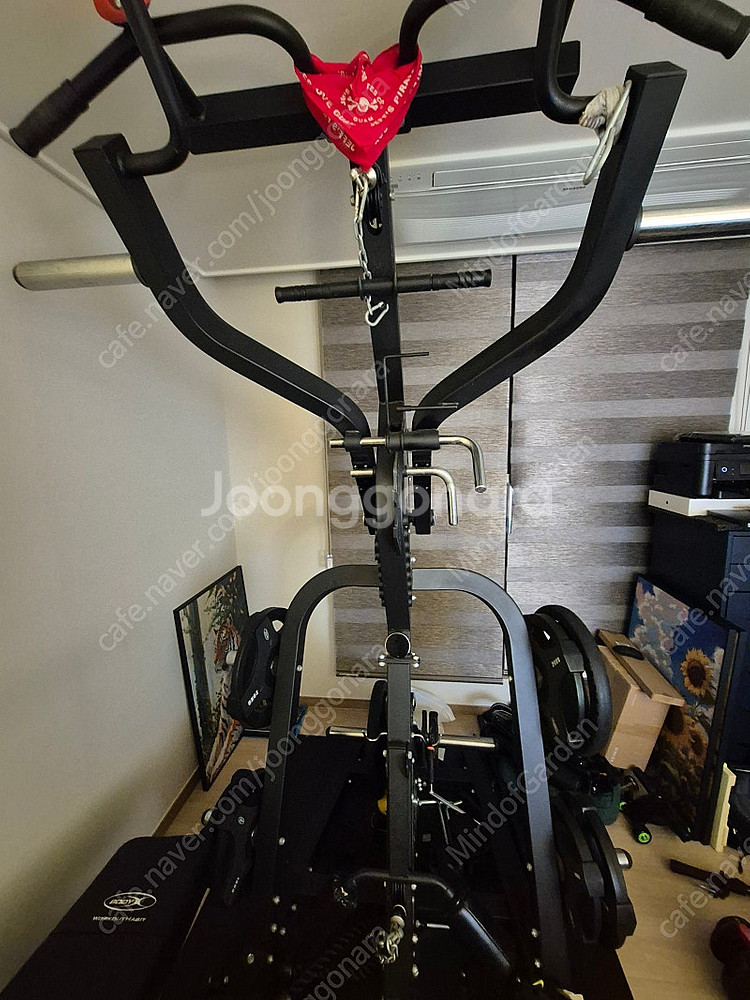 바디엑스 프리미엄 카멜 레버리지짐 G80 홈짐 멀티짐 ...--2