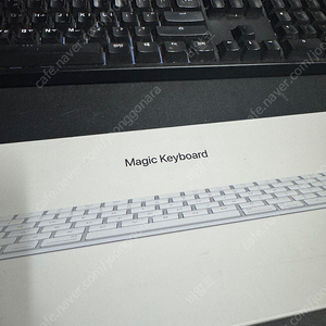 애플 매직 키보드, magic keyboard / MQ5L2KH/A