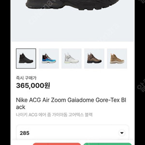 나이키 ACG 줌 가이아돔 고어텍스 285