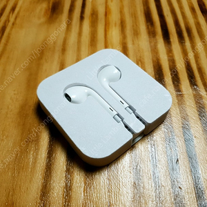 애플 이어팟 / Apple Earpods (아이팟 터치 번들) 이어폰