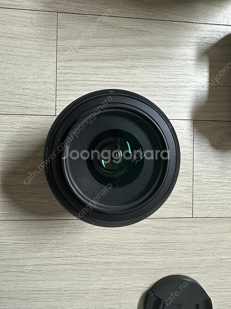 캐논 EOS 200D + 시그마 아트 삼식이--7