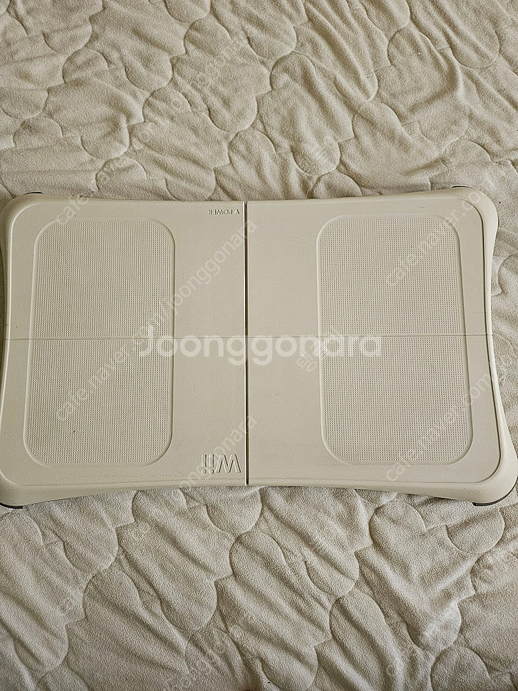 닌텐도 will--1