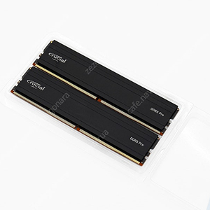 마이크론 Crucial DDR5 5600 48GB(24GB×2) 판매