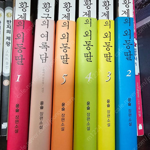 황제의 외동딸 6권