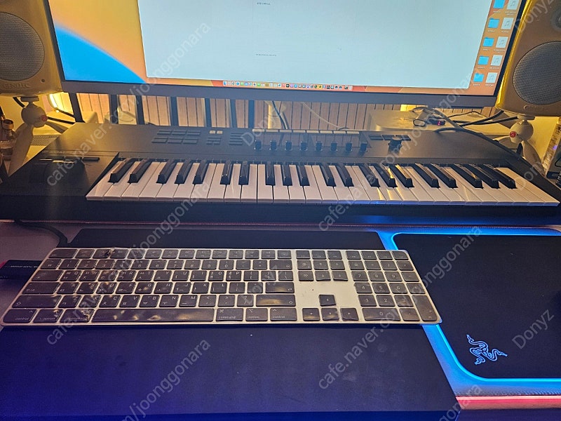 NI Komplete Kontrol S49 MK2 팝니다
