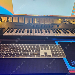 NI Komplete Kontrol S49 MK2 팝니다