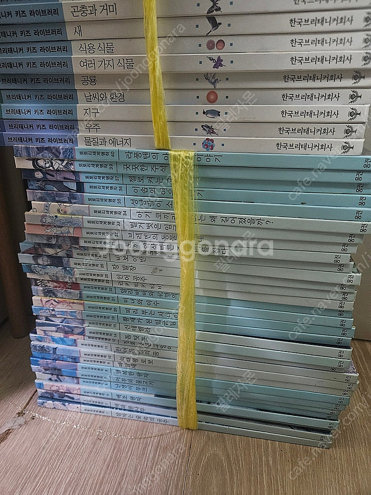 킹피셔 백과사전50권, 웅진토토리세계명작32권, 브리테...--5