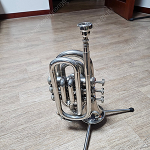 Tristar mini trumpet