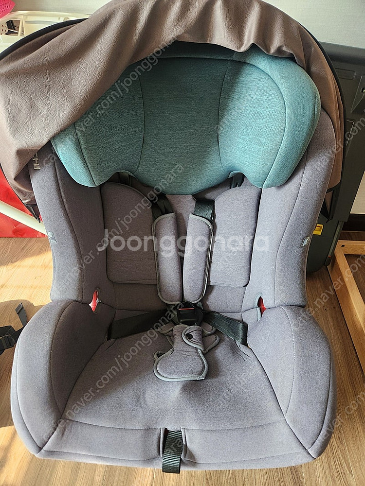 다이치 카시트--0