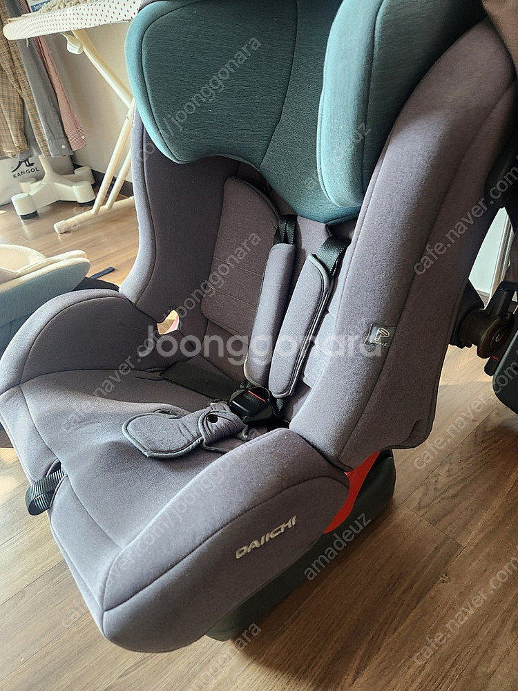 다이치 카시트--2