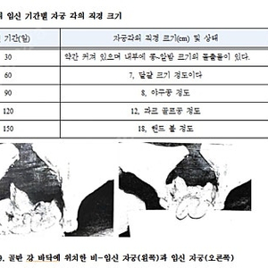 한우정액 1442삽니다 만원짜리들도 삽니다