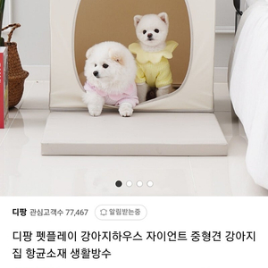 디팡 펫플레이 강아지 하우스 자이언트 사이즈 팔아요~!!