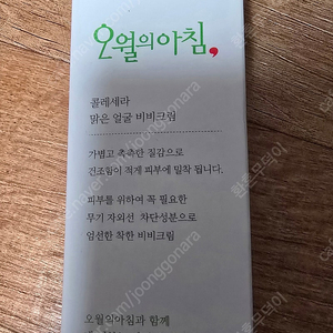 미개봉) 오월의아침 비비크림 50ml