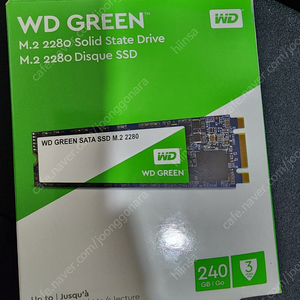 WD웬디 240G SSD팝니다.