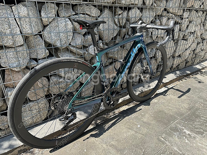 써벨로 CALEDONIA-5 DURA ACE Di2 O...--2