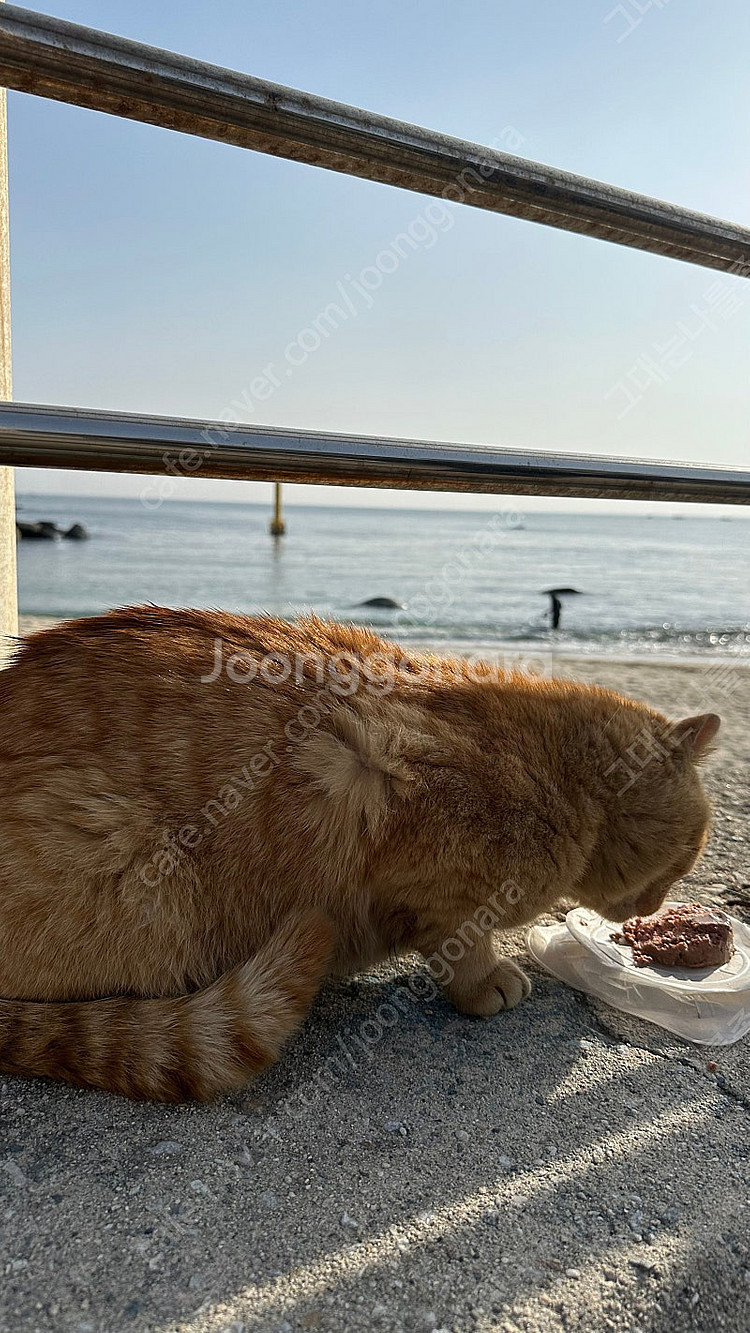 야놀자47,000원 80퍼구해요--0