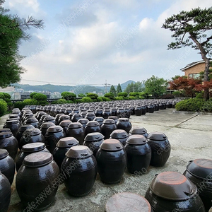 숨쉬는 대형 항아리,장독,옹기<된장항아리,김치항아리,소금항아리> 재래된장 팝니다