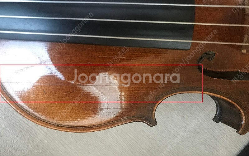 입문 중급용 반수제 바이올린 페르남부르코 활 뱀 하드케...--7