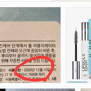 딸리까 속눈썹 영양제