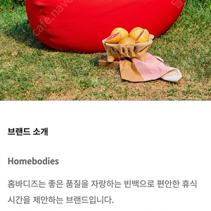 홈바디즈 카누 빈백대형 미개봉 새제품