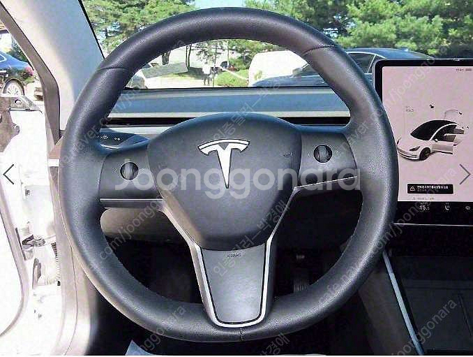 중고차 테슬라 모델 3 EV RWD 스탠다드 레인지 플...--3